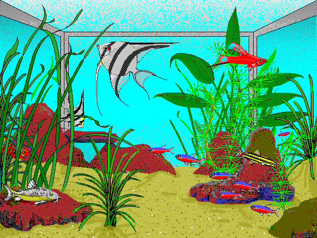 aquarium.gif (56975 bytes)