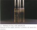 thioglicolate1.jpg (2672 bytes)