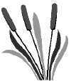 Apukwa.gif (3602 bytes)