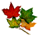 leaf1.gif (2355 bytes)