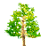 tree1.gif (2449 bytes)