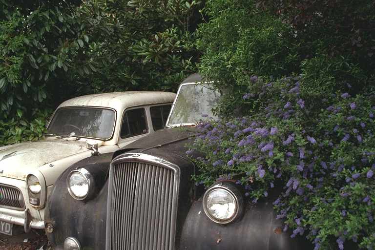 A couple of neglected
cars
