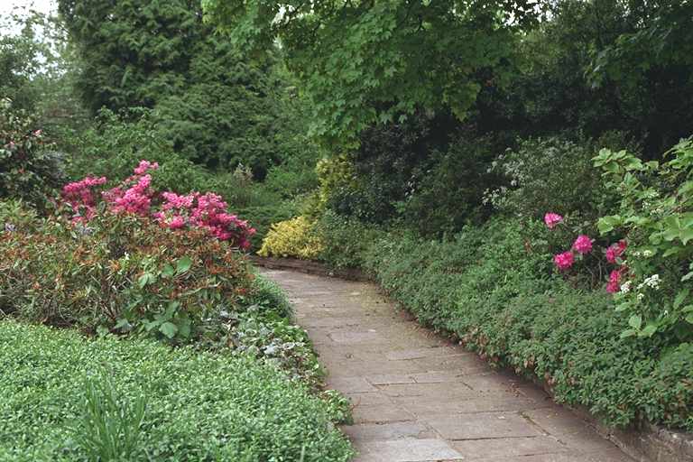 A path on the palace
grounds