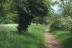 Path along the         
               Thames