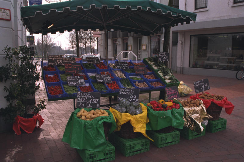 Fresh Veggies!!!!