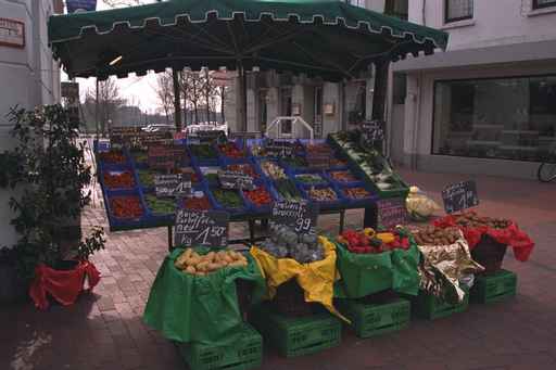 Fresh Veggies!!!!
