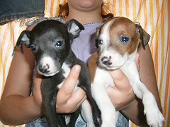 MARCH 2007