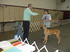 march 15, 2008