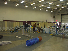 march 15, 2008