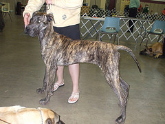 mar 15, 2008