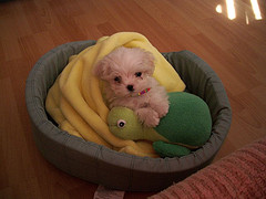 Aren't I cute?
