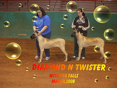 march 2008