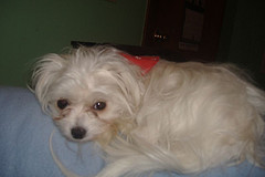 feb 2006