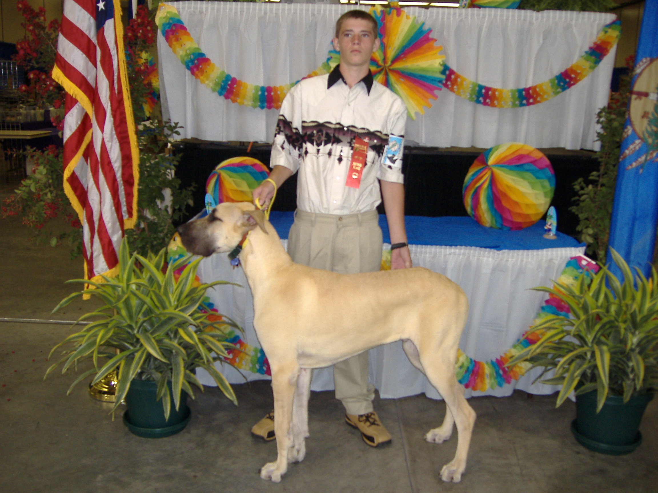june 28, 2006