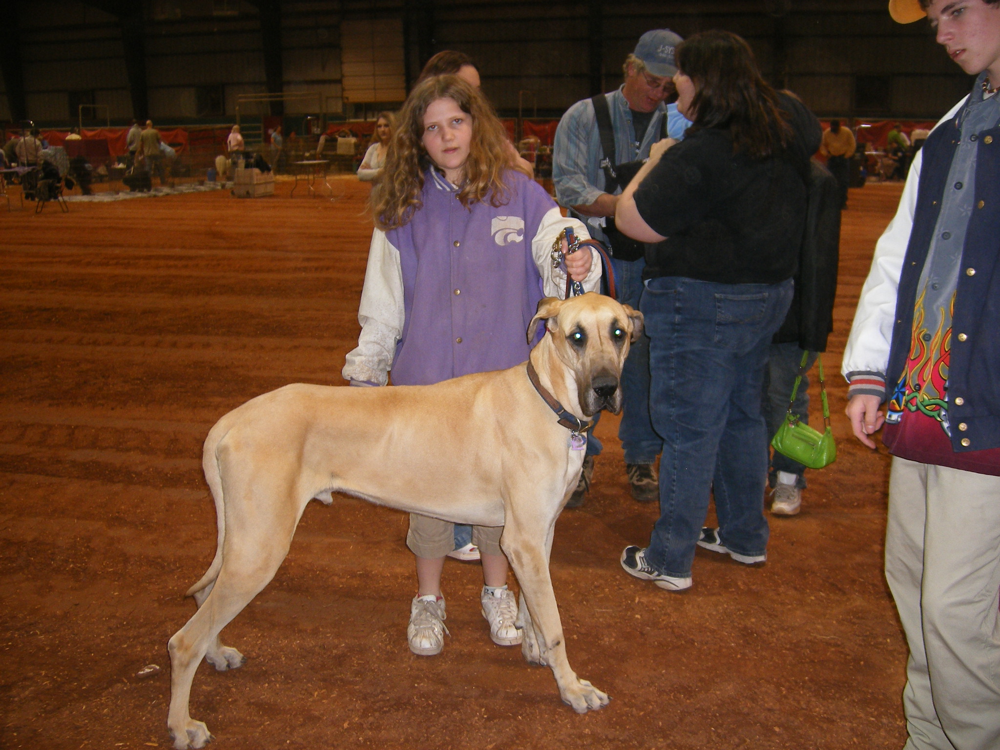 march 3, 2007