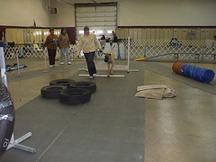 march 15, 2008
