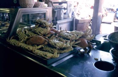 crabssf.jpg (19875 byte)