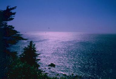 pacocean.jpg (15365 byte)