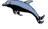 4delfino01.gif