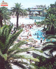 Pool at Mandalay Bay.