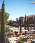 Bellagio pool.
