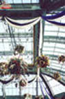 Bellagio conservatory.