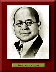 elder.gif (32423 bytes)