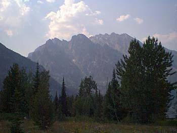 IMAGE005