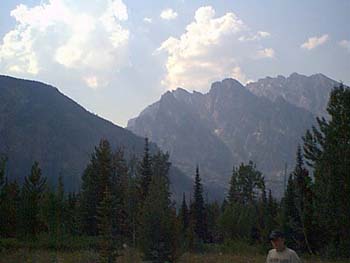 IMAGE006