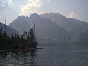 IMAGE008