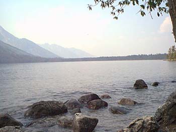 IMAGE011