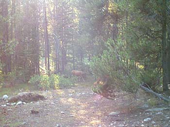 IMAGE015