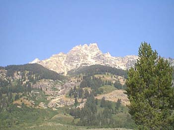 IMAGE025