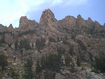 IMAGE038