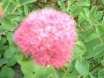 IMAGE048