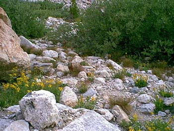 IMAGE052