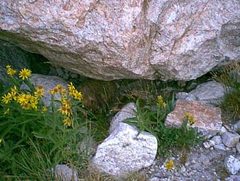 IMAGE053