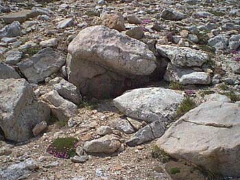 IMAGE073