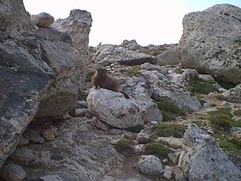 IMAGE090