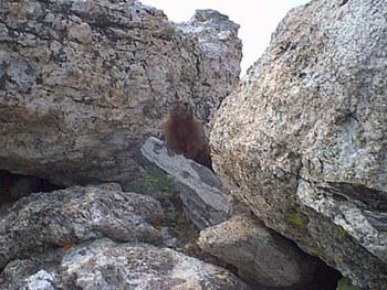 IMAGE091