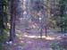 IMAGE016