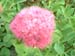 IMAGE048