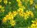 IMAGE050