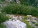 IMAGE051