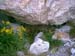 IMAGE053