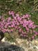IMAGE074