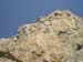 IMAGE110