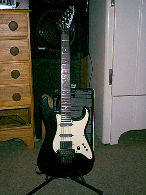 Fender