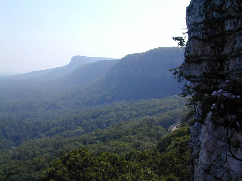 millbrook
