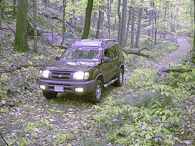 IMAGE003